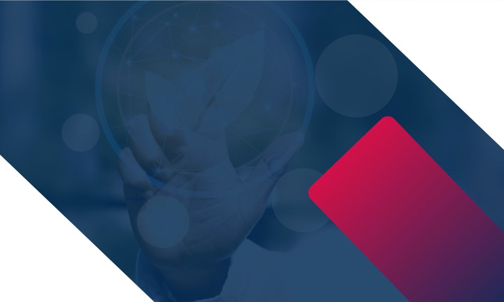 Cnr & food hub: l'innovazione che fa crescere le imprese dell'agroalimentare